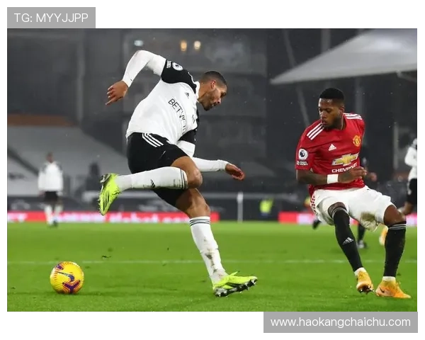 英超富勒姆球迷抗议 英超富勒姆球迷抗议